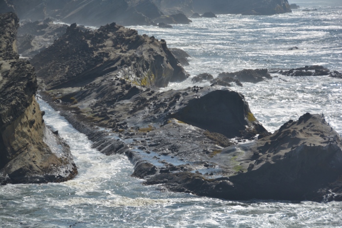 coastal trail